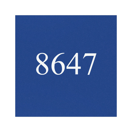 8647 Car Magnet