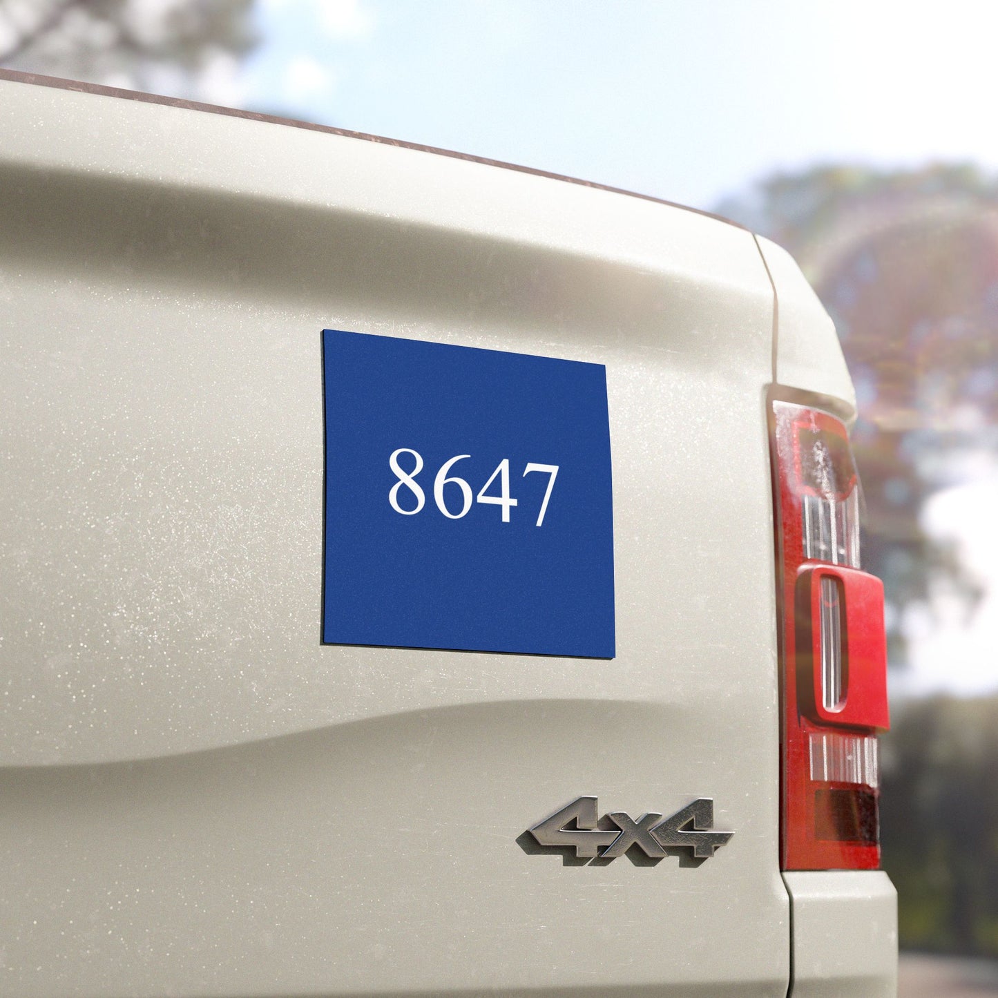 8647 Car Magnet